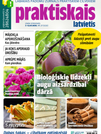 Praktiskais Latvietis