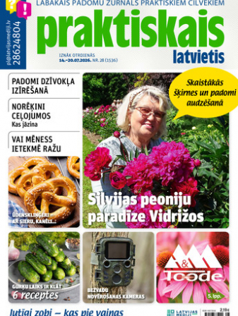 Praktiskais Latvietis