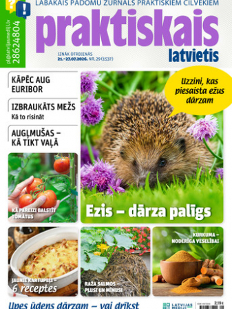 Praktiskais Latvietis
