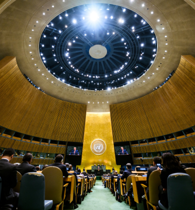 ANO Ģenerālā asambleja.