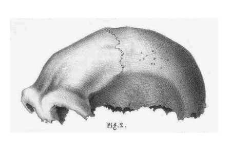 Neandertālieša galvaskausa fragments 19. gs. zīmējumā.