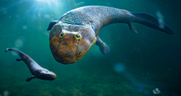 Četrkājaino dzīvnieku evolūcija. Tiktaalik – monospecifiska izmirušu sarkopteriģu ģints no vēlā devona perioda. Ilustratīvs attēls. Četrkājaino dzīvnieku evolūcija. Tiktaalik – monospecifiska izmirušu sarkopteriģu ģints no vēlā devona perioda. Ilustratīvs attēls.
