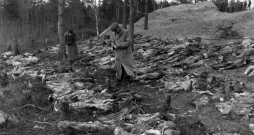 1943. gadā vācu kareivji Katiņā atrada apmēram 8000 poļu virsnieku mirstīgās atliekas. Pēc Staļina rīkojuma tos 1939. gadā nošāva NKVD vienības. Padomju savienība šajā masu slepkavībā melīgi vainoja nacistus. Poļu virsnieku iznīcināšanu Padomju savienība neatzina līdz pat 1990. gadam.