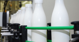 Lai Latvijas piena ražotāji saņemtu vismaz vidējo piena iepirkuma cenu, jāpalielina vietējās pārstrādes piena produktu īpatsvars veikalu plauktos līdz 95–98%, uzskata eksperti. Lai Latvijas piena ražotāji saņemtu vismaz vidējo piena iepirkuma cenu, jāpalielina vietējās pārstrādes piena produktu īpatsvars veikalu plauktos līdz 95–98%, uzskata eksperti.