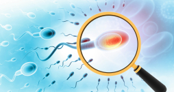 Pētījuma gaitā izpētīts epiģenētisko mutāciju mehānisms padzīvojušu tēvu spermatozoīdos. Pētījuma gaitā izpētīts epiģenētisko mutāciju mehānisms padzīvojušu tēvu spermatozoīdos.