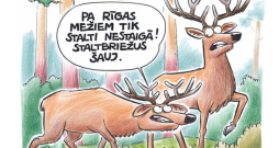 Zīmē Gatis Šļūka. Pa Rīgas mežiem tik stalti nestaigā!