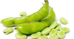 Cūku pupas. Cūku pupas.