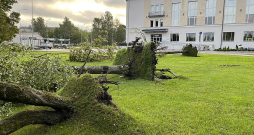 Vēja sagāztie koki Rēzeknē.