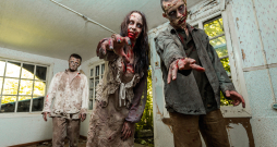 Realitātē sastopama virkne slimību, kas praktiski ikvienu cilvēku var padarīt līdzīgu visīstākajam zombijam. Realitātē sastopama virkne slimību, kas praktiski ikvienu cilvēku var padarīt līdzīgu visīstākajam zombijam.