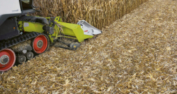 'Claas Corio Stubble Cracker' agregāts kukurūzas novākšanai.
