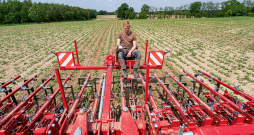 'Lemken Steketee' kultivators. 'Lemken Steketee' kultivators.