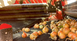 'Grimme ChangeSep' separators. 'Grimme ChangeSep' separators.