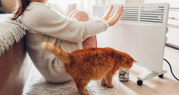 Jau šogad plānots iedarbināt sistēmu, kas, atlasot datus par iedzīvotāju ienākumiem, pensijām, pabalstiem un dzīvesvietu no vairāku institūciju datu bāzēm, automātiski noteiks mājsaimniecības, kuras kvalificēsies atbalsta saņemšanai, ja notiks energoresursu strauja sadārdzināšanās.