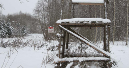 Medību tornis Saldus novadā. Medību tornis Saldus novadā.
