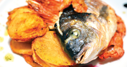 Gatava dorada.
