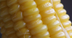 2023. gada desmit mēnešos salīdzinājumā ar attiecīgo periodu 2021. gadā pirms kara Ukrainā dārzeņu imports ir pieaudzis par 126%, graudaugu – par 71%, eļļas sēklu, augu un augļu – par 43%, bet zivju – par 35%.