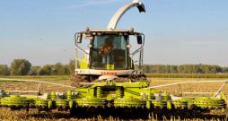 'Claas Jaguar' kombains. 'Claas Jaguar' kombains.