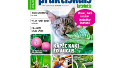Žurnāls "Praktiskais Latvietis". Žurnāls "Praktiskais Latvietis".