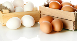 Ilustratīvs attēls. Ilustratīvs attēls.