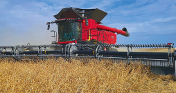 'Case IH Axial-Flow 11' kombains.