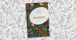 Ingrida Tārauda. "Drupanenis".