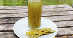 Fermentēti gārsu kātiņi.