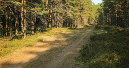 Mazbānīša taka. Mazbānīša taka.