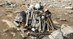 Līdzās skeletiem atklāja arī lielu daudzumu ādas apavu, lietussargu, naudas maisu un citu sadzīves priekšmetu atlieku... Līdzās skeletiem atklāja arī lielu daudzumu ādas apavu, lietussargu, naudas maisu un citu sadzīves priekšmetu atlieku...