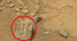 Vai marsgājējs "Curiosity" atradis dinozaura fosīlijas?