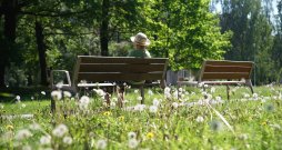 Ozolaines parks Duntes ielā. Ozolaines parks Duntes ielā.