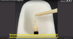 Speciālisti ar 3D printeri izdrukājuši slīdīgā atejpoda paraugmodeli. Speciālisti ar 3D printeri izdrukājuši slīdīgā atejpoda paraugmodeli.