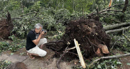 Vēsturnieks Raitis Ābelnieks galvaskausu atraduma vietā pilskalna parkā veic fotofiksācijas. Vēsturnieks Raitis Ābelnieks galvaskausu atraduma vietā pilskalna parkā veic fotofiksācijas.