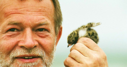 Jānis Baltvilks latviešu literatūrā bija īpašs ar savu dabas izjūtu.