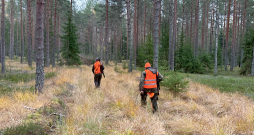 Medību pamatprincipi, kuros balstās mednieka rīcība un uzvedība gan medībās, gan ārpus tām, ir cieņa, zināšanas, atbildība, ilgtspējība un tradīcijas. Medību pamatprincipi, kuros balstās mednieka rīcība un uzvedība gan medībās, gan ārpus tām, ir cieņa, zināšanas, atbildība, ilgtspējība un tradīcijas.