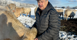 ZS "Valti" saimnieks Rihards Valtenbergs: "Latvijā patlaban uz vietas ir nopērkami mūsu pašu Šarolē šķirnes vaislas liellopi, kas vairākos rādītājos pārsniedz valstīs ar senām tradīcijām audzētos šķirnes dzīvniekus. ZS "Valti" saimnieks Rihards Valtenbergs: "Latvijā patlaban uz vietas ir nopērkami mūsu pašu Šarolē šķirnes vaislas liellopi, kas vairākos rādītājos pārsniedz valstīs ar senām tradīcijām audzētos šķirnes dzīvniekus.