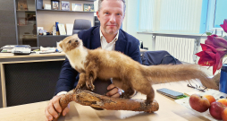 Sandis Jansons labprāt medī caunas. Sandis Jansons labprāt medī caunas.