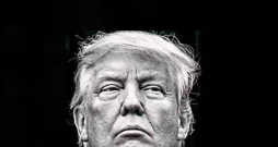 Donalds Tramps. Donalds Tramps.