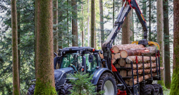 'Horsch Pirk Forestry'. 'Horsch Pirk Forestry'.