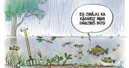 Es zināju, ka kādreiz man dārziņš būs! Es zināju, ka kādreiz man dārziņš būs!