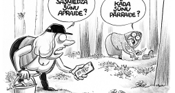 Šūnapraide. Šūnapraide.