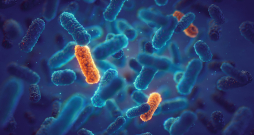“Modernās” baktērijas jau pamanījušās pielāgoties esošajām antibiotikām. “Modernās” baktērijas jau pamanījušās pielāgoties esošajām antibiotikām.