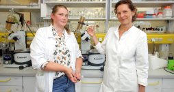 OSI vadošās pētnieces Linda Supe (no labās) un Ilga Mutule kopā strādājušas, lai meklētu efektīvu medikamentu diabēta ārstēšanai.
OSI vadošās pētnieces Linda Supe (no labās) un Ilga Mutule kopā strādājušas, lai meklētu efektīvu medikamentu diabēta ārstēšanai.