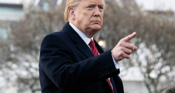 Donalds Tramps.