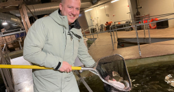 “Vēl kāds mēnesis jāpaaugas,” Lauris Apsis izvērtē Arktikas paliju svaru. Zivij jāsasniedz 1,5 kg, kad to pārved uz atpeldināšanas
baseinu, un pēc divām nedēļām aizceļo pie patērētājiem.