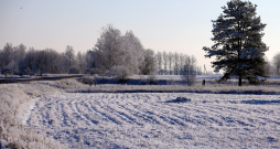 Lauku ainava. Lauku ainava.