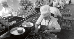 Zivju konservēšanas Kirovas zvejniecības kolhozā netālu no Tallinas, Igaunijā (tolaik Padomju Krievijā). 1966. gads. Zivju konservēšanas Kirovas zvejniecības kolhozā netālu no Tallinas, Igaunijā (tolaik Padomju Krievijā). 1966. gads.