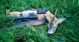 Buks nomedīts jūlija otrajā pusē Pulsar Oryx (Ieskaties.lv) testa medībās. Buks nomedīts jūlija otrajā pusē Pulsar Oryx (Ieskaties.lv) testa medībās.