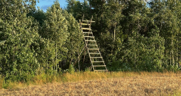 Mednieku taisītā trepe – pielāgota konkrētiem apstākļiem.