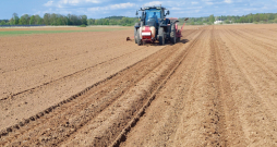 Čipsu kartupeļu stādīšana Pierīgā, SIA "Latfood Agro" apsaimniekotajos laukos Ādažos. Kartupeļu stādīšana notiek ar četrrindu stādītāju. Desmit dienās saimniecībā iestādīja kartupeļus 61 ha platībā.
