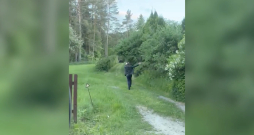 Cilvēks izkāpa no mašīnas un vēl skrēja ar telefonu lācim pakaļ... 